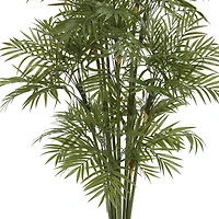 4ft. Potted Parlour Palm Tree