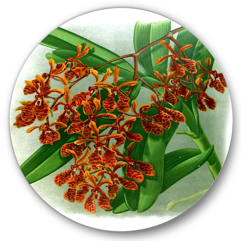 Designart - Retro Flowers II