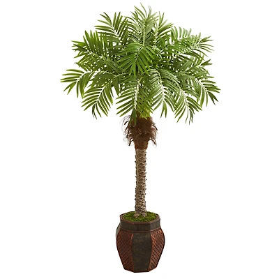 5ft. Robellini Palm Tree in Brown Decorative Planter