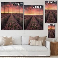Designart - Sunrise & Dramatic Clouds Over Lavender Field XIV
