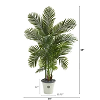 5.75ft. Areca Palm Tree in Decorative Planter