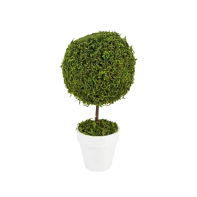 15" Artificial Reindeer Moss Ball Topiary Tree in White Pot