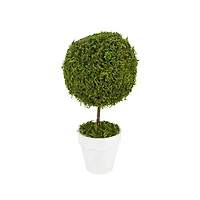 15" Artificial Reindeer Moss Ball Topiary Tree in White Pot