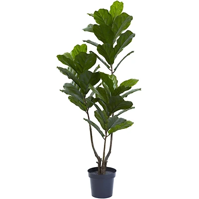 5.4ft. Potted Fiddle Leaf Tree