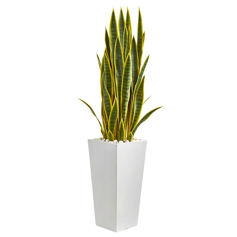 4ft. Snake Plant in White Tower Planter
