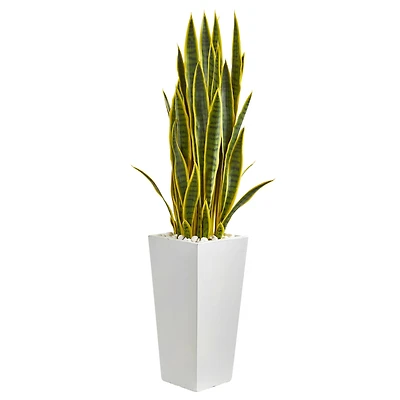 4ft. Snake Plant in White Tower Planter