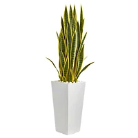 4ft. Snake Plant in White Tower Planter