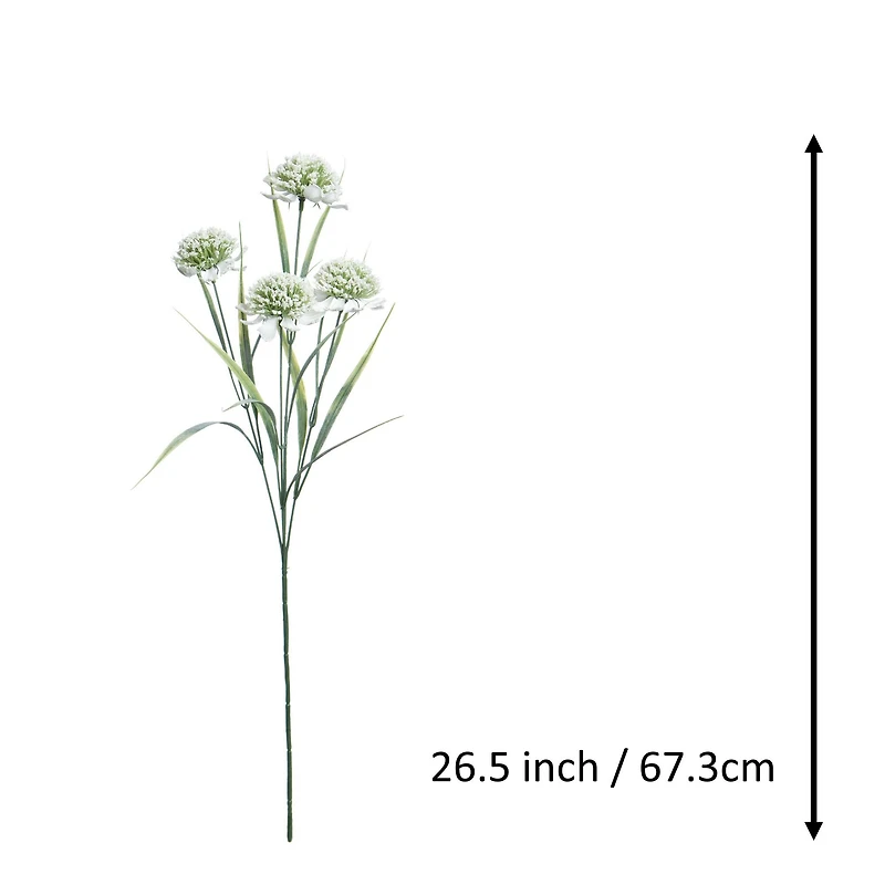 26.5" White & Green Allium Stem by Ashland®