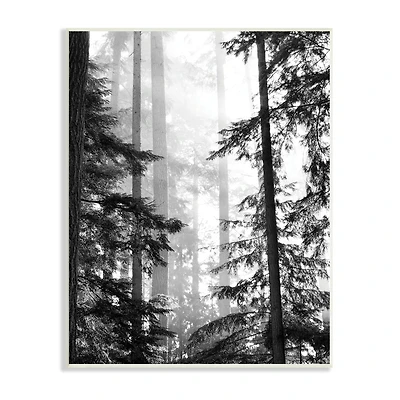 Stupell Industries Forest Light Shining Through Tall Trees Landscape Photography Wall Plaque