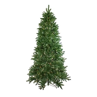 6.5ft. Pre-Lit Neola Fraser Fir Artificial Christmas Tree, Dual LED Lights