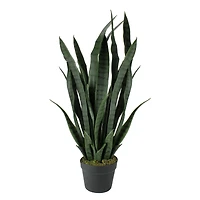 2.4ft. Two-Tone Green & Black Potted Snake Plant