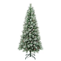 6ft. Unlit Perry Hard Needle Artificial Christmas Tree