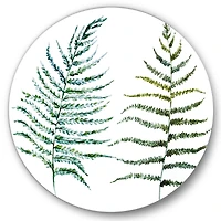 Designart - Two Fern Leaves