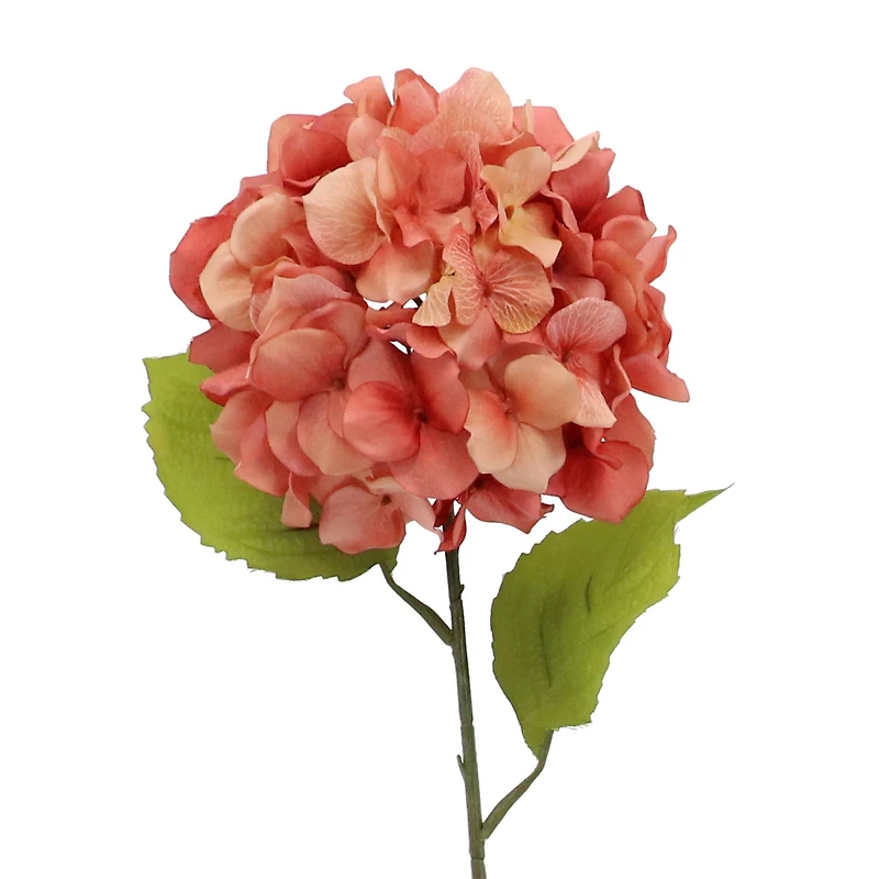 Terra Cotta Hydrangea Stem by Ashland®