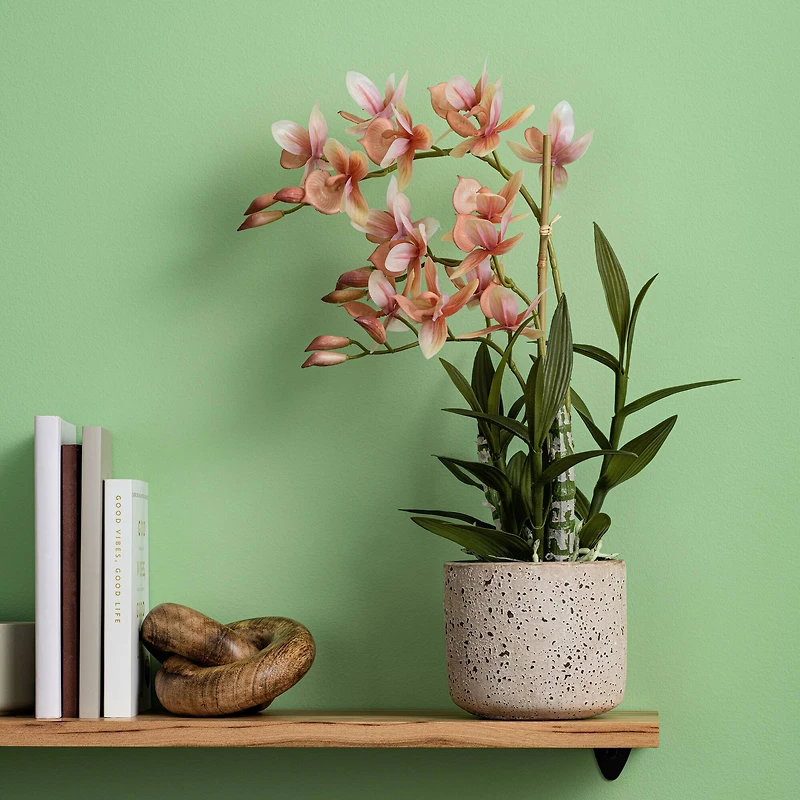 19" Artificial Deluxe Potted Cycnoches