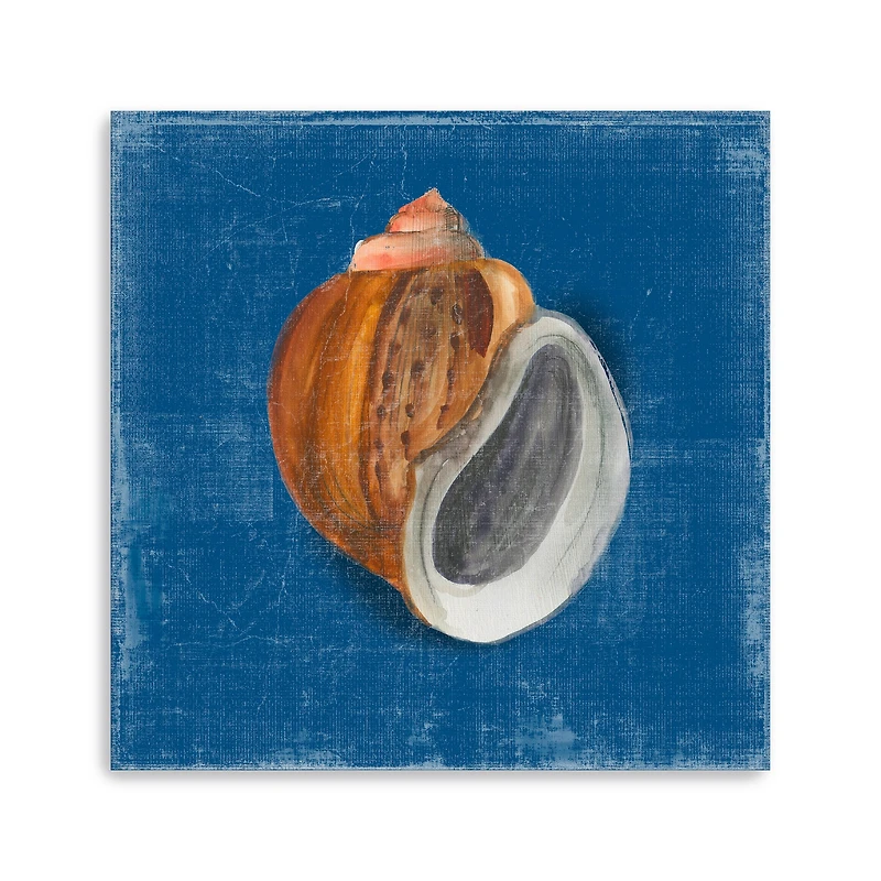 Rosecliff Shell I Canvas Giclee