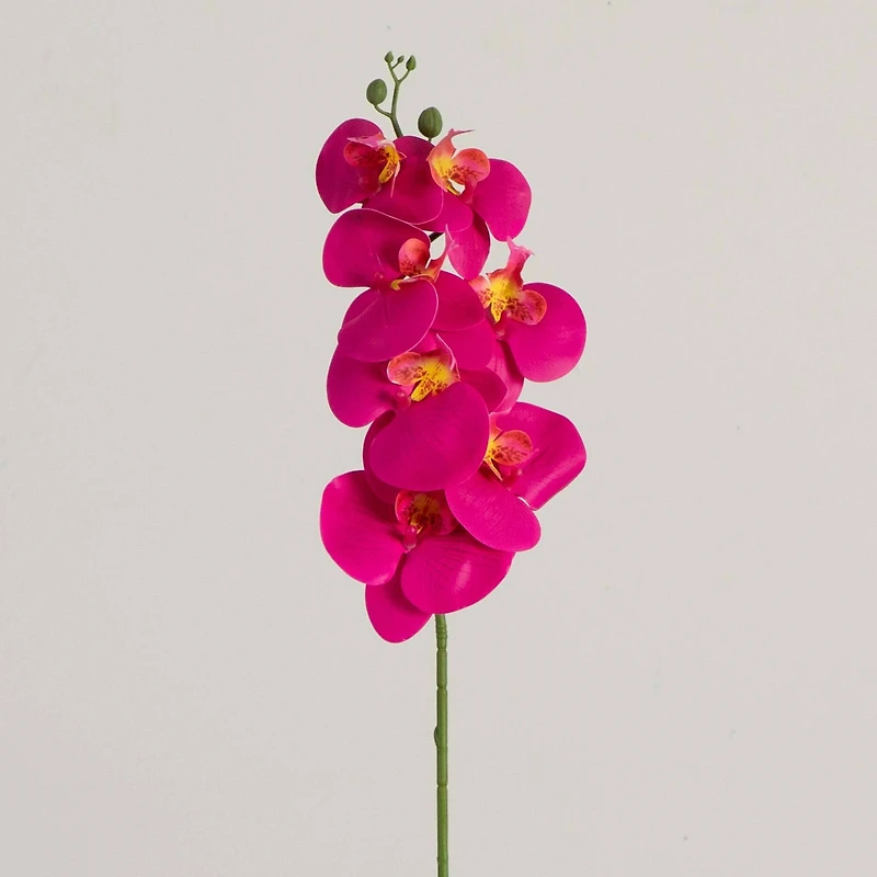 35" Beauty Pink Orchid Flower Stems, 3ct.