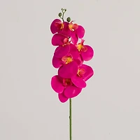 35" Beauty Pink Orchid Flower Stems, 3ct.