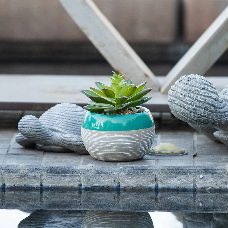 Flora Bunda® Succulent In Two Tone Pattern Teal Ceramic Pot 
