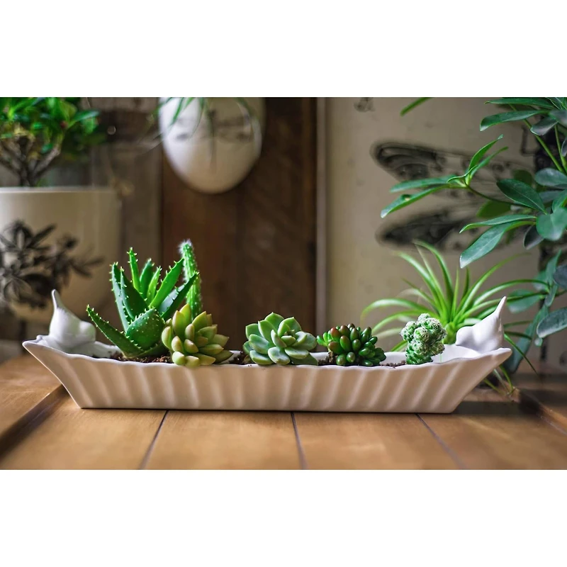 Hello Honey® 15.5" Long White Ceramic Cracker Dish with Two Birds