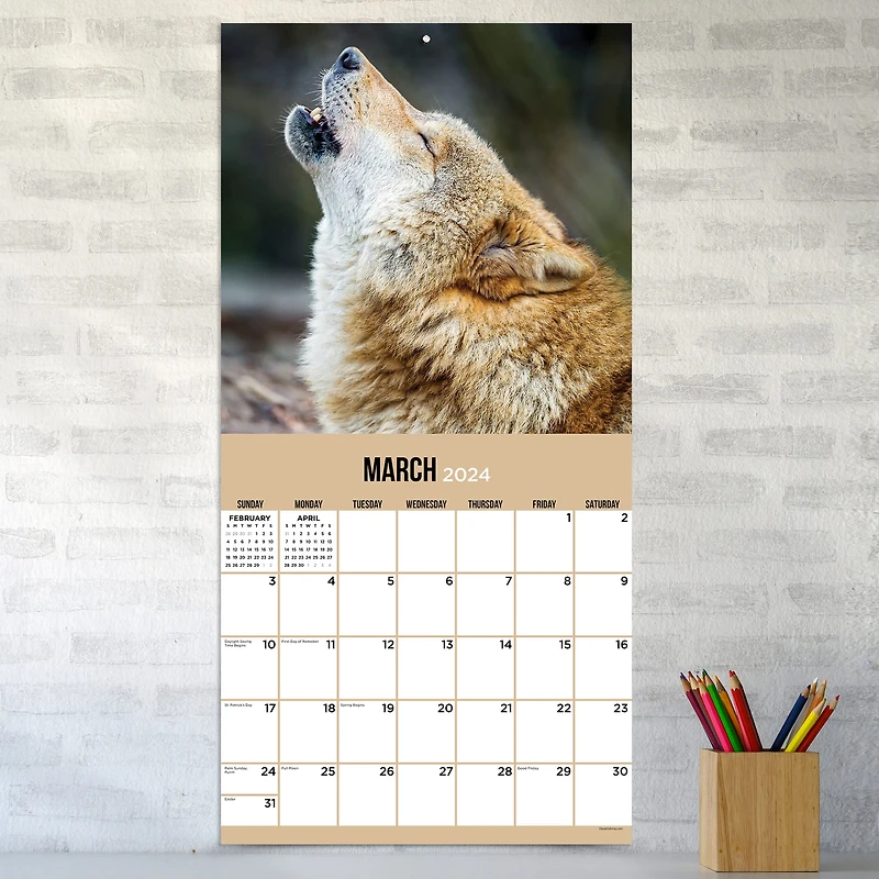 TF Publishing Wolves Wall Calendar