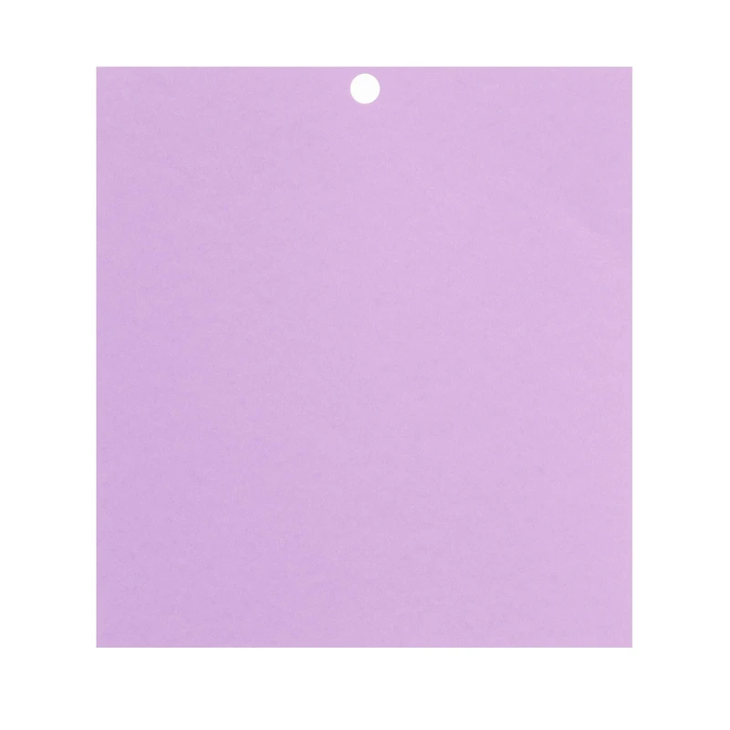 Purple Passion 6" x 6.5" Cardstock Paper by Recollections™, 100 Sheets 