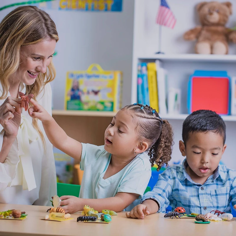 Insect Lore Life Cycle Figurine 24 Piece Set