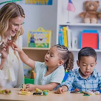 Insect Lore Life Cycle Figurine 24 Piece Set