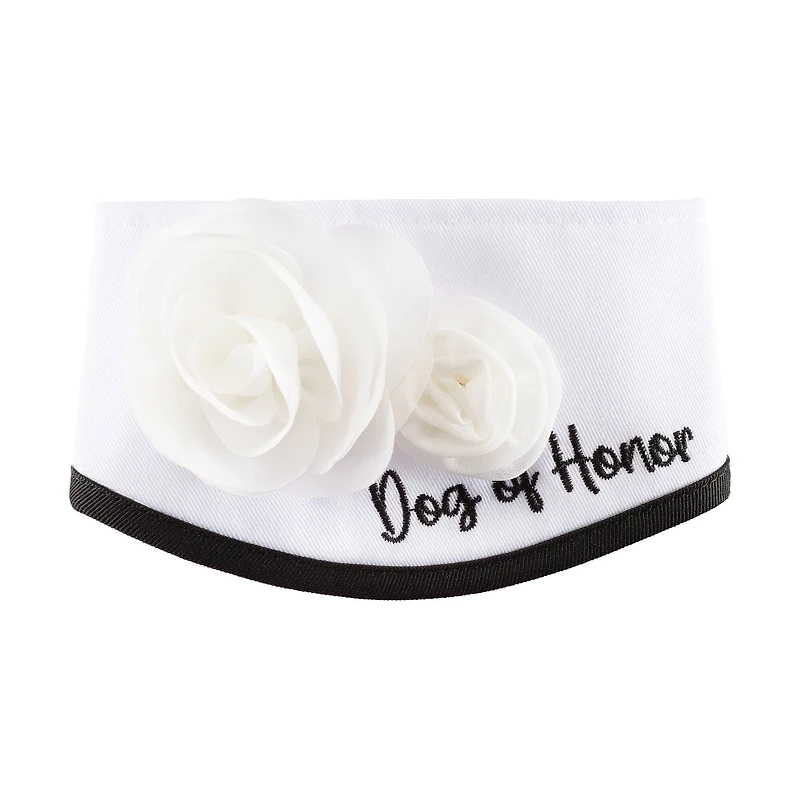 Best Furry Friends Dog of Honor Floral Collar