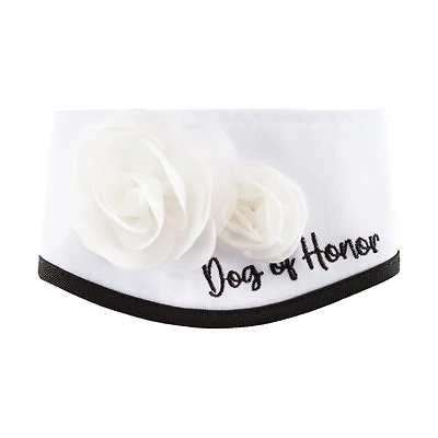 Best Furry Friends Dog of Honor Floral Collar
