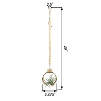 Flora Bunda® 29" Air Plant in Hanging Beaded Wood Planter