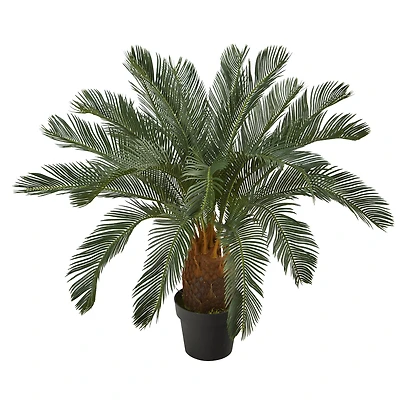 3ft. Potted Cycas Tree