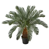 3ft. Potted Cycas Tree