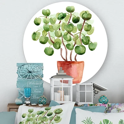 Designart - Chinese Money Plant In Pot