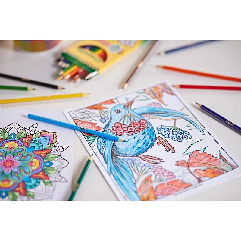 Crayola® Colored Pencils, 12ct.