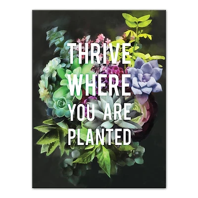 Thrive Where You Are Planted 12" x 16" Canvas Wall Art