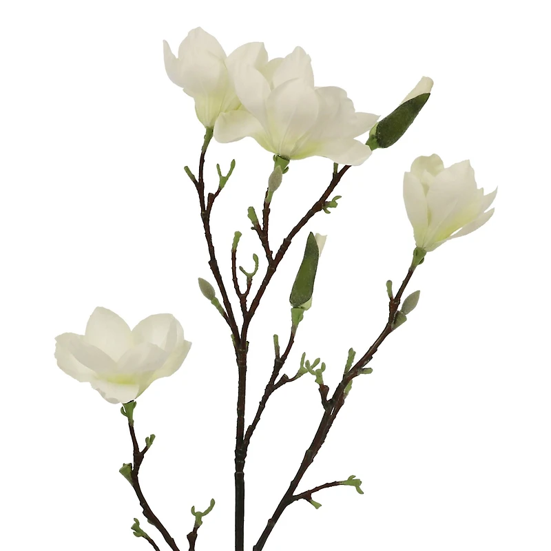 40" Magnolia Oversized Stem by Ashland