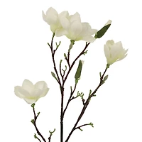 40" Magnolia Oversized Stem by Ashland