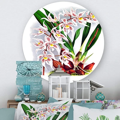 Designart - Vintage White Orchid Flower II