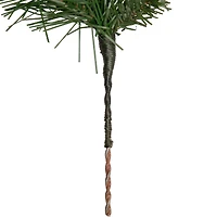 Dakota Red Pine Stem with Pine Cones