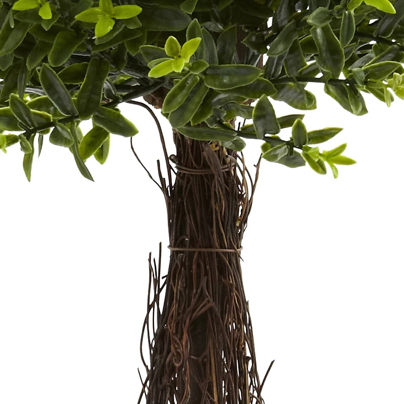 3ft. Potted Ixora Topiary