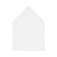 A2 White Vellum Envelope Inserts by Recollections™, 10ct.