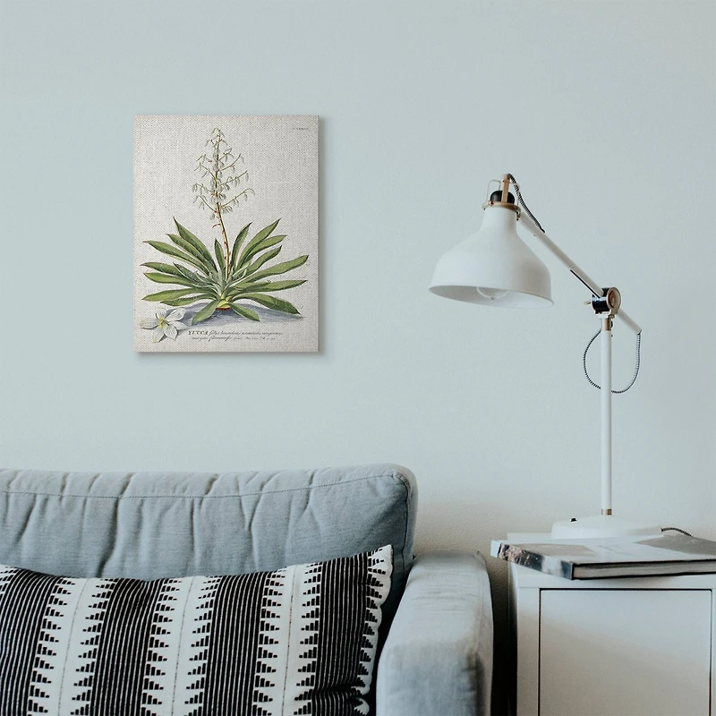 Stupell Industries Botanical Fern Illustration Wall Art