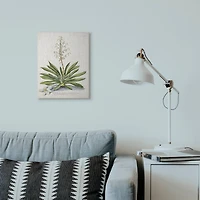 Stupell Industries Botanical Fern Illustration Wall Art