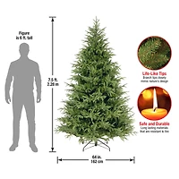 7.5ft. Unlit Frasier Grande Full Artificial Christmas Tree