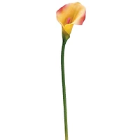 Yellow & Pink Calla Lily Stem