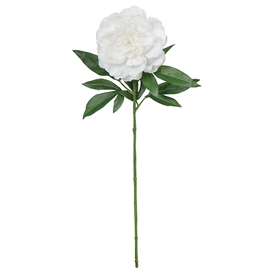 25.5" Peony Real Touch Stem by Ashland