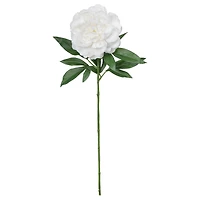 25.5" Peony Real Touch Stem by Ashland