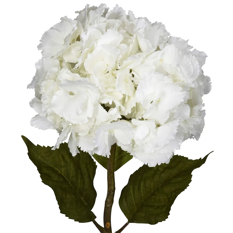 White Hydrangea Stems, 3ct.