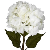 White Hydrangea Stems, 3ct.